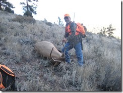 2007_10_23_George_Elk_001